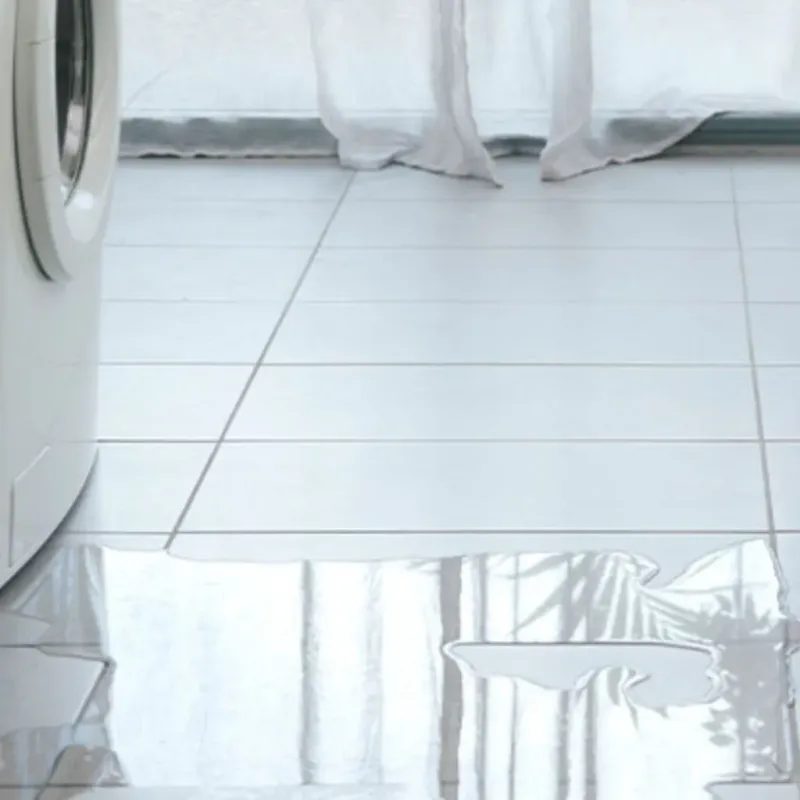 Appliance Leak Cleanup in Alafaya, FL